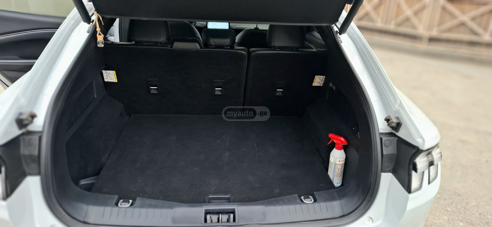 Ford Mustang Mach-E - фото 5