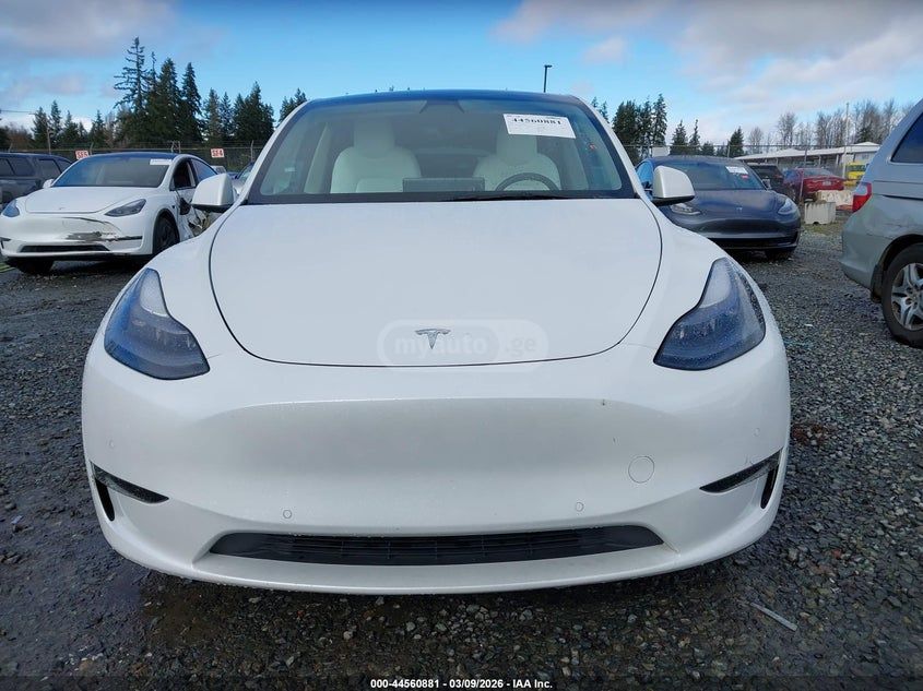 Tesla Model Y - фото 13