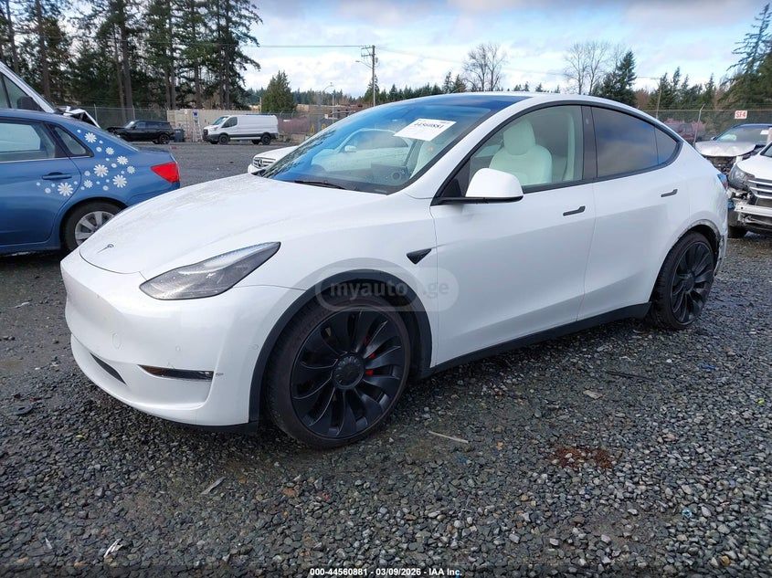 Tesla Model Y - фото 2