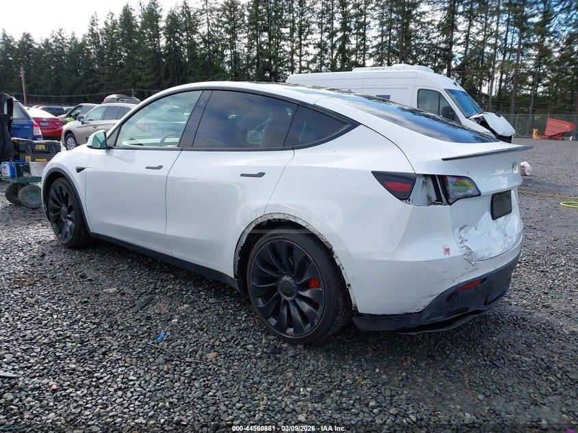 Tesla Model Y - фото 3