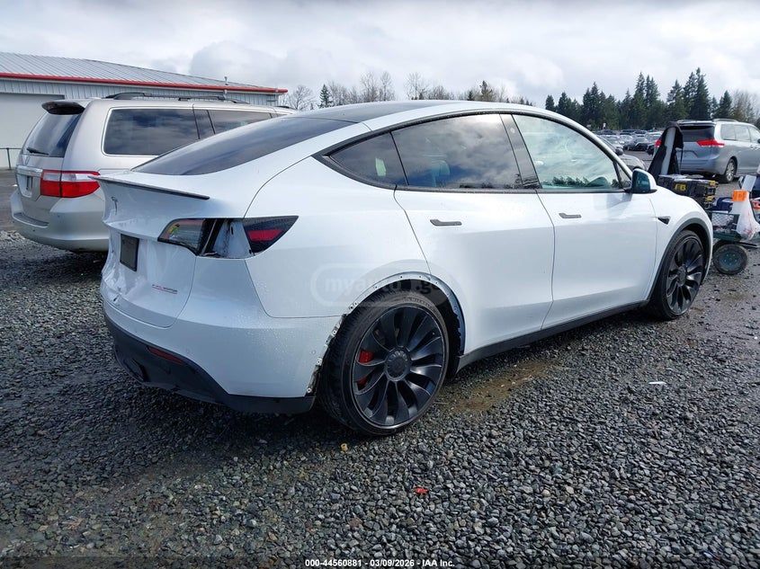 Tesla Model Y - фото 4