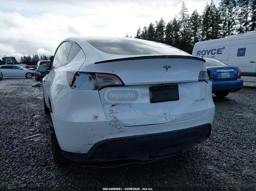 Tesla Model Y - фото 6