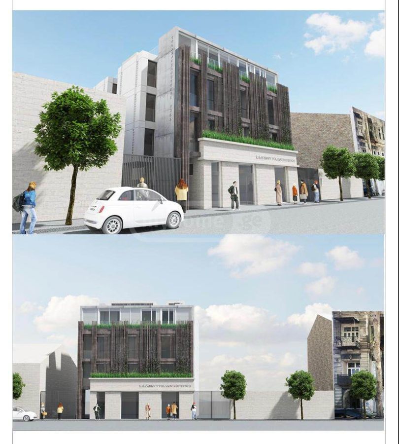 For Sale 10+ Room Sastumro Chughuretshi view 11