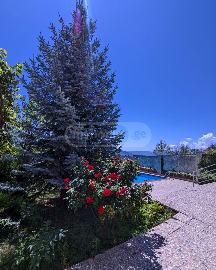 Daily Rent 8 Room Private House Tbilisis Zghvaze, 8 of 12