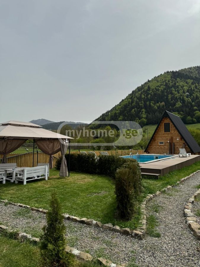 დღიური ქირა 3-ოთახი აგარაკი Borjomshiში view 2