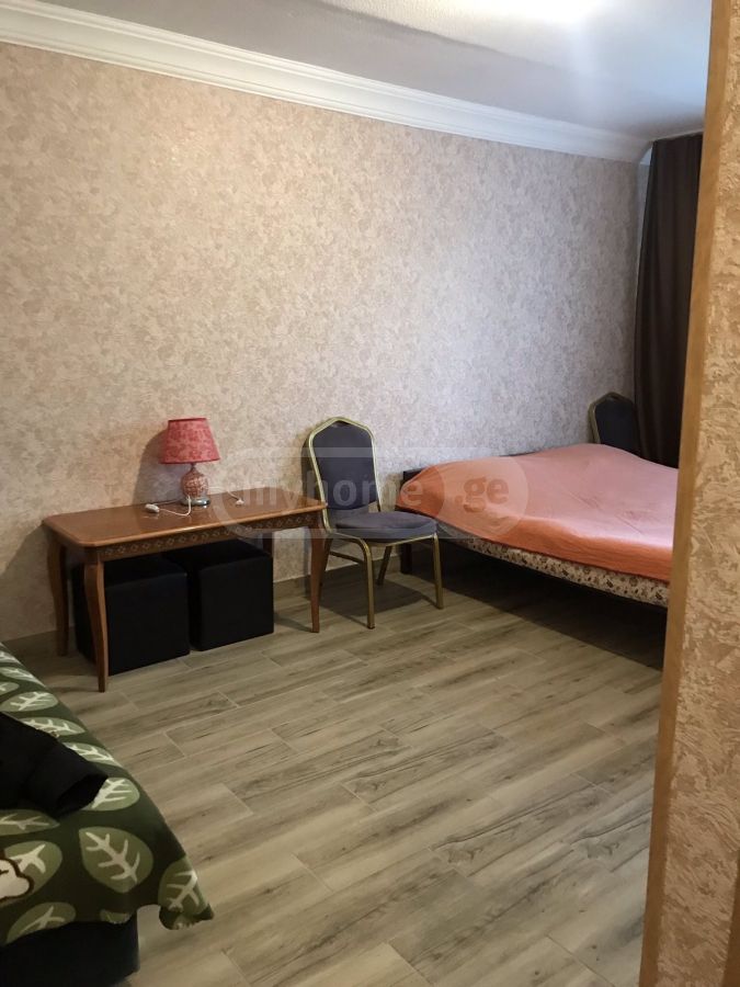1 Room Apartment For Rent In Varketili view 9