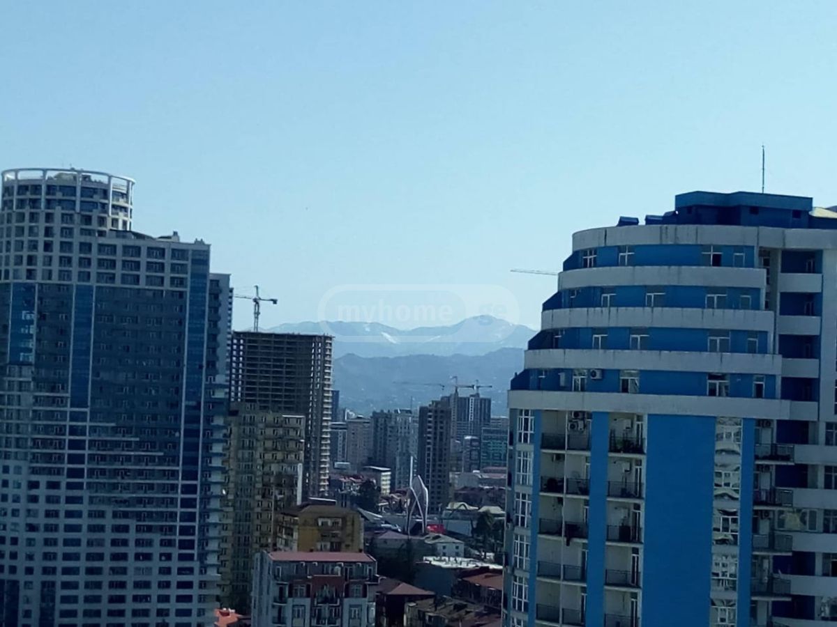 3 Room Flat For Rent. Batumi view 16