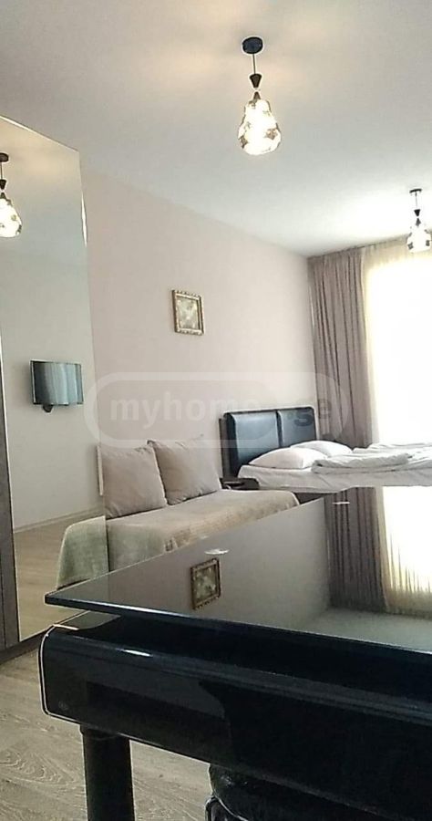 Daily Rent 1 Room Sastumro Bakurianshi, 4 of 8