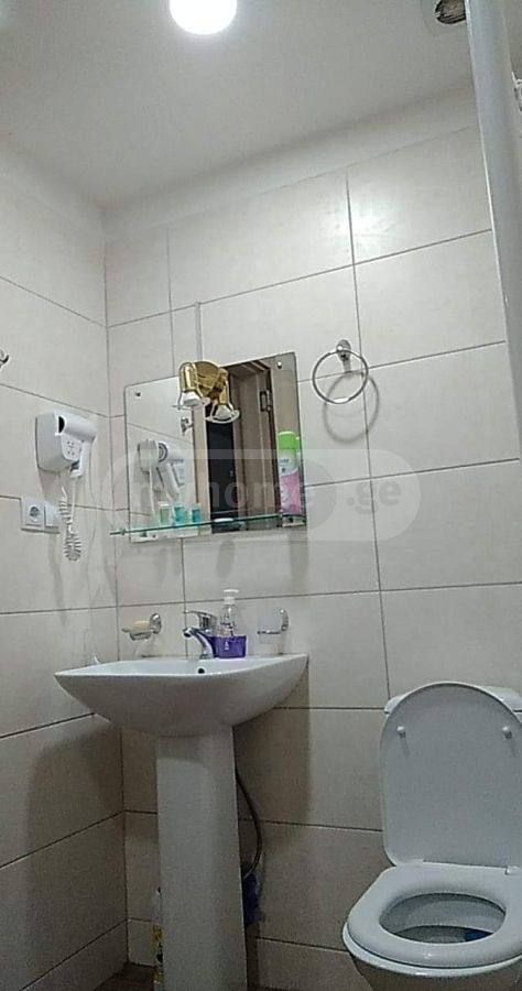 Daily Rent 1 Room Sastumro Bakurianshi, 5 of 8