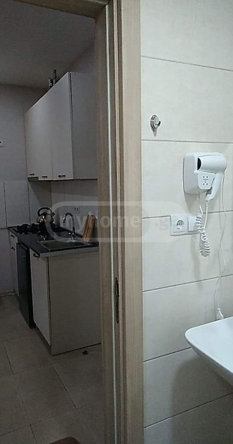 Daily Rent 1 Room Sastumro Bakurianshi, 6 of 8