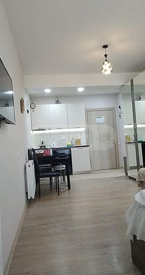 Daily Rent 1 Room Sastumro Bakurianshi, 8 of 8