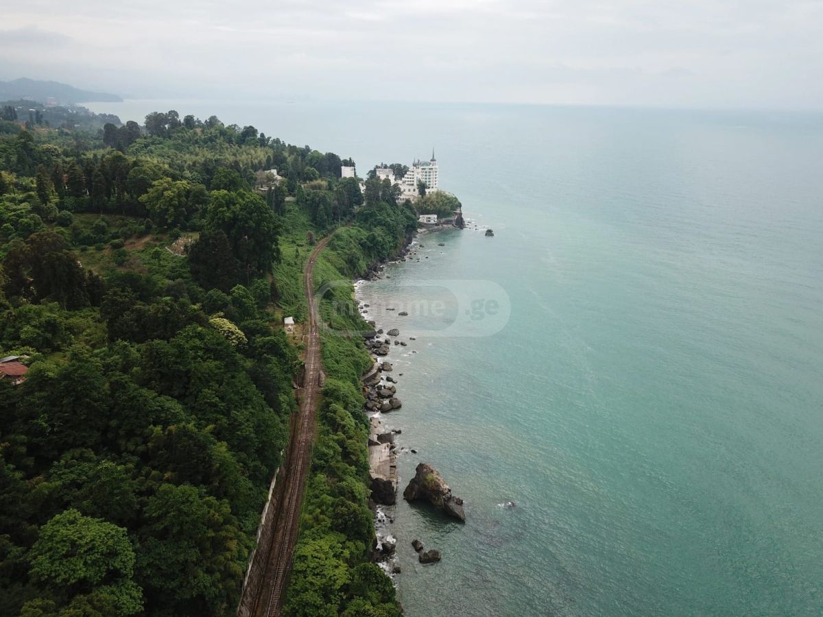 For Sale Sasoplo-Sameurneo Land Plot Kobuletis Munitsipalitetshi view 1