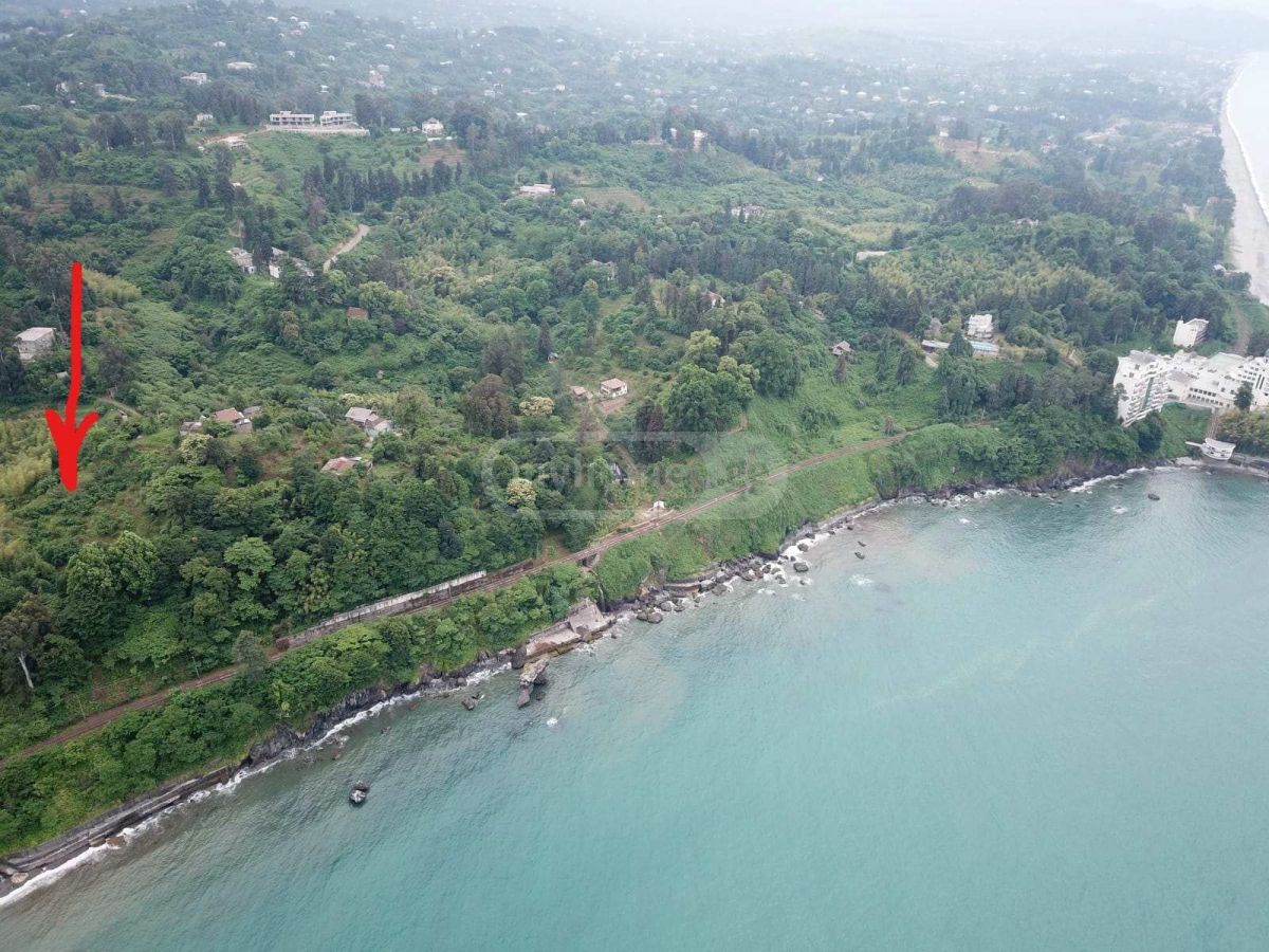 For Sale Sasoplo-Sameurneo Land Plot Kobuletis Munitsipalitetshi view 2