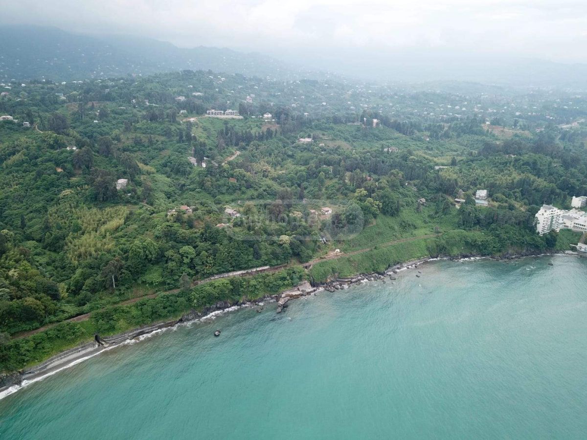 For Sale Sasoplo-Sameurneo Land Plot Kobuletis Munitsipalitetshi view 3