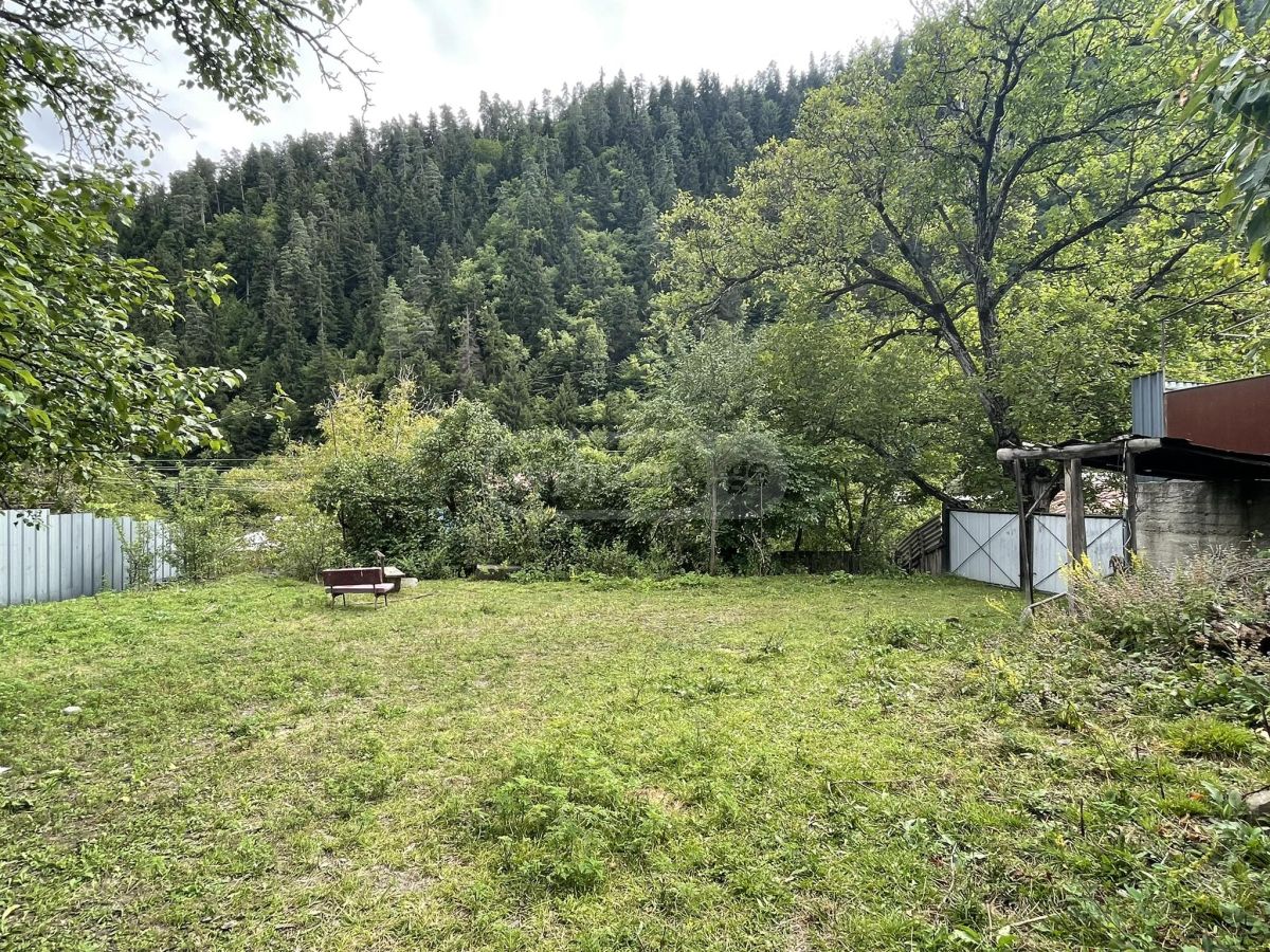 For Sale Sasoplo-Sameurneo Land Plot Borjomshi view 2