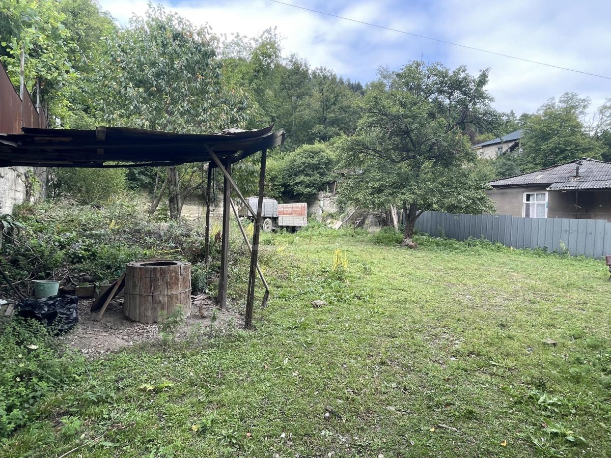 For Sale Sasoplo-Sameurneo Land Plot Borjomshi view 3
