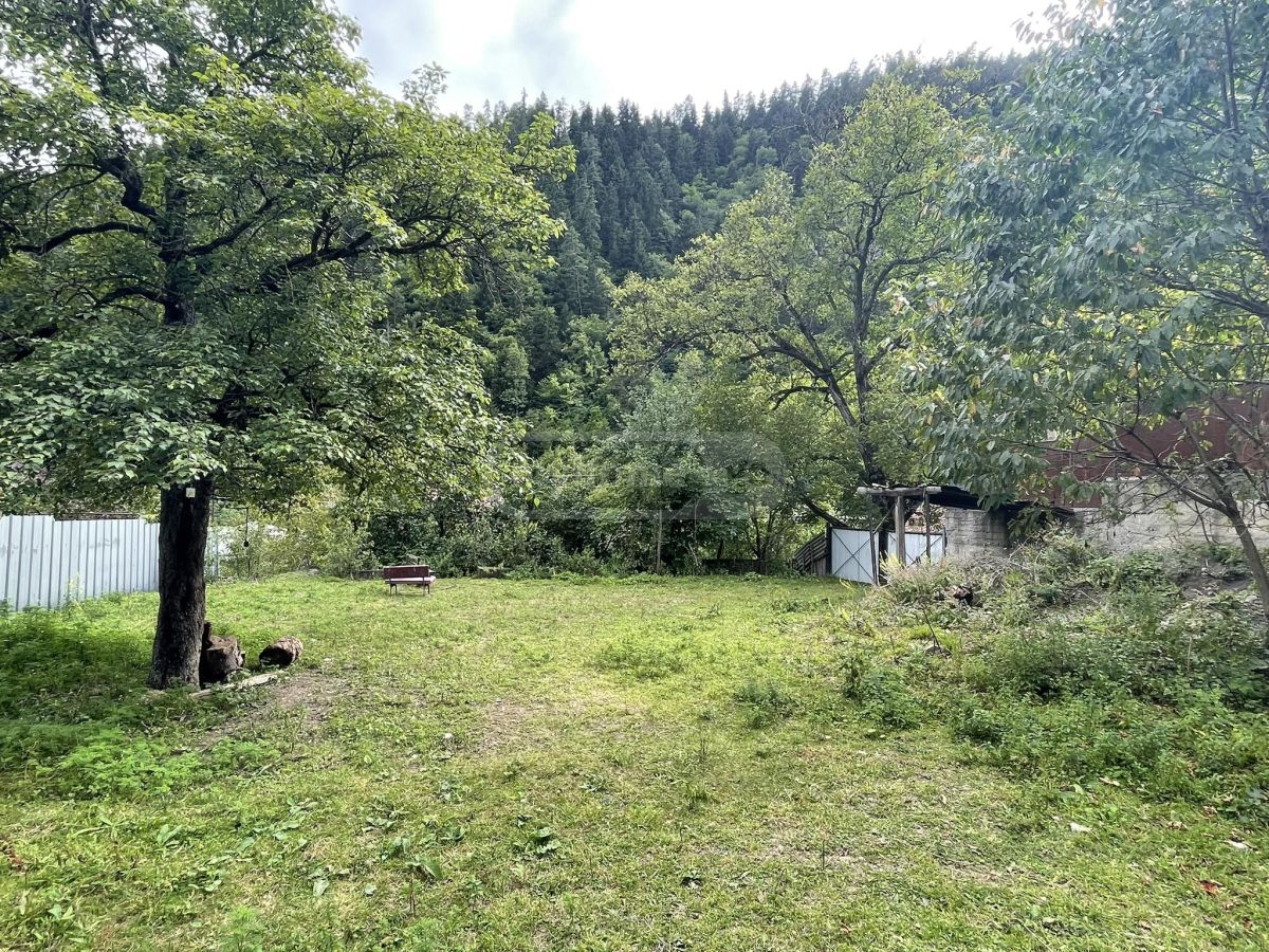 For Sale Sasoplo-Sameurneo Land Plot Borjomshi view 4