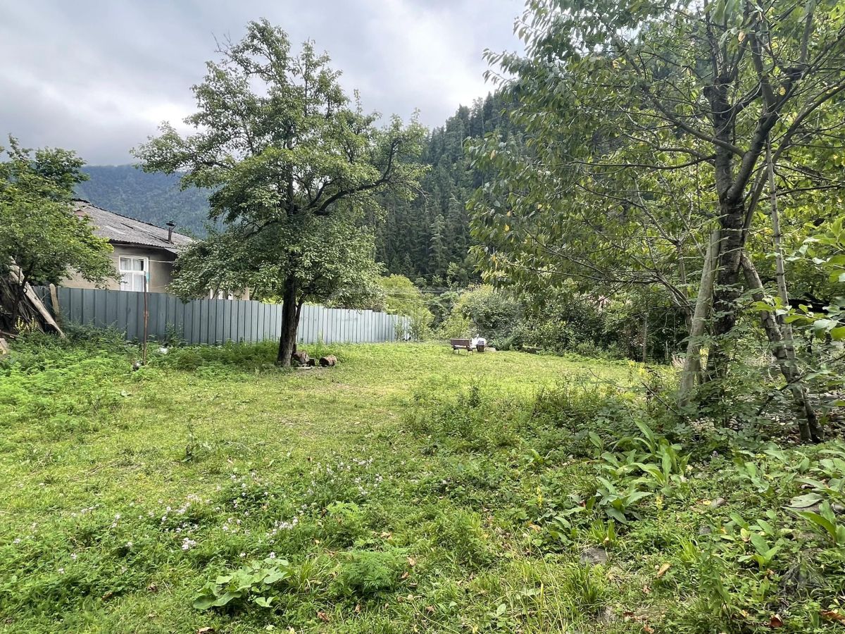 For Sale Sasoplo-Sameurneo Land Plot Borjomshi view 5