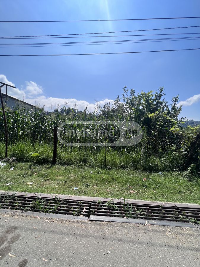 For Sale Sasoplo-Sameurneo Land Plot Khelvachaurshi view 1