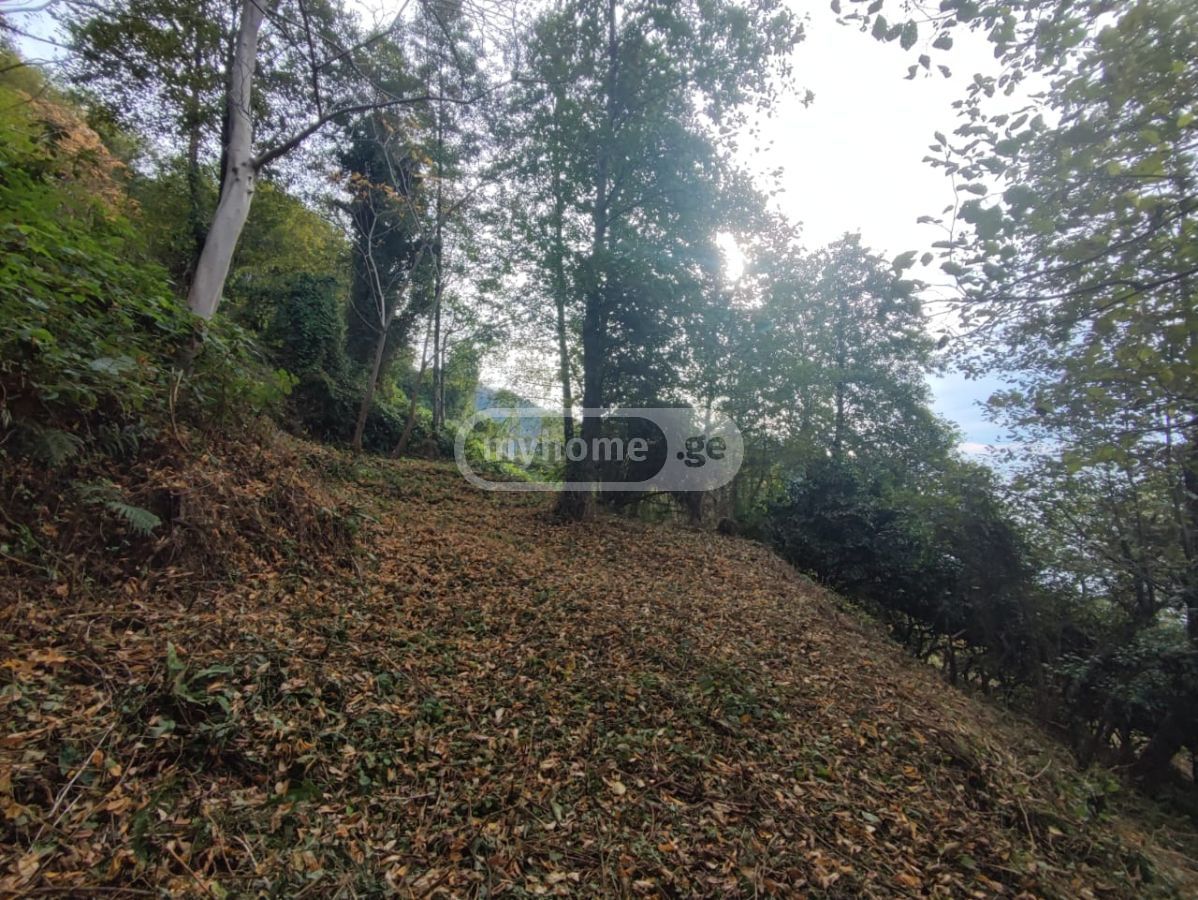 Agricultural Plot For Sale In Kvariati, In Khelvachauri Municipality view 1