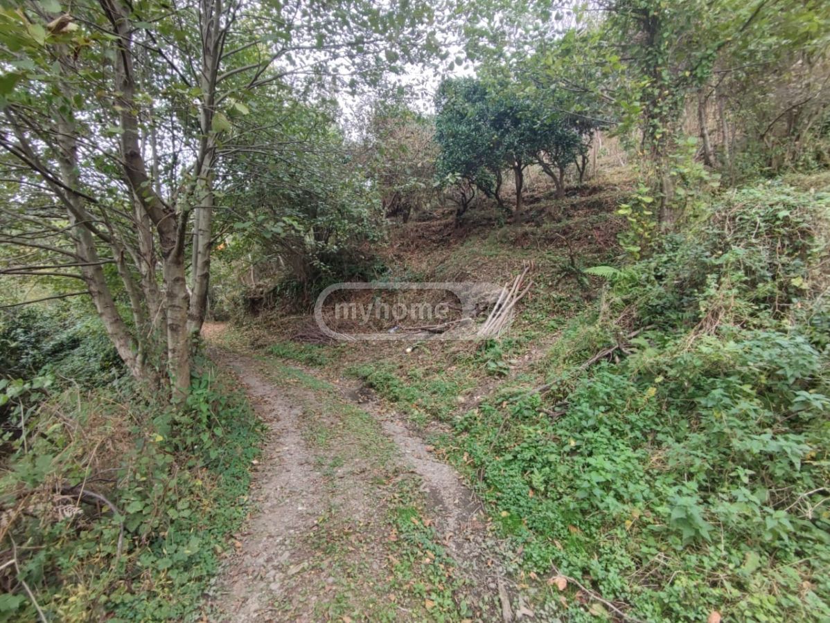 Agricultural Plot For Sale In Kvariati, In Khelvachauri Municipality view 2