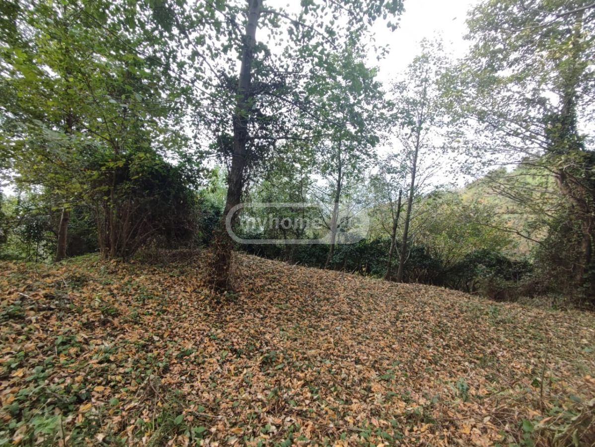 Agricultural Plot For Sale In Kvariati, In Khelvachauri Municipality view 3