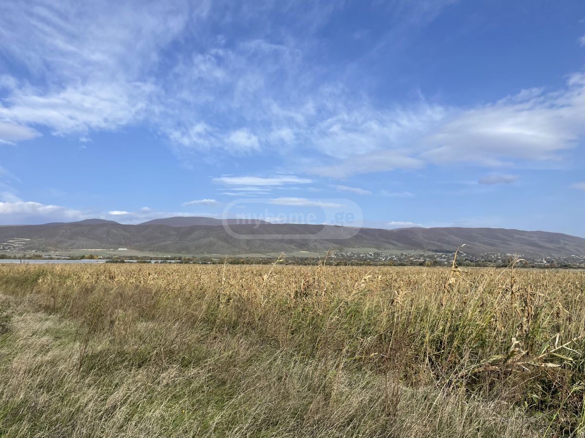 Продажа Земля / участок в Mtskhetashi view 1