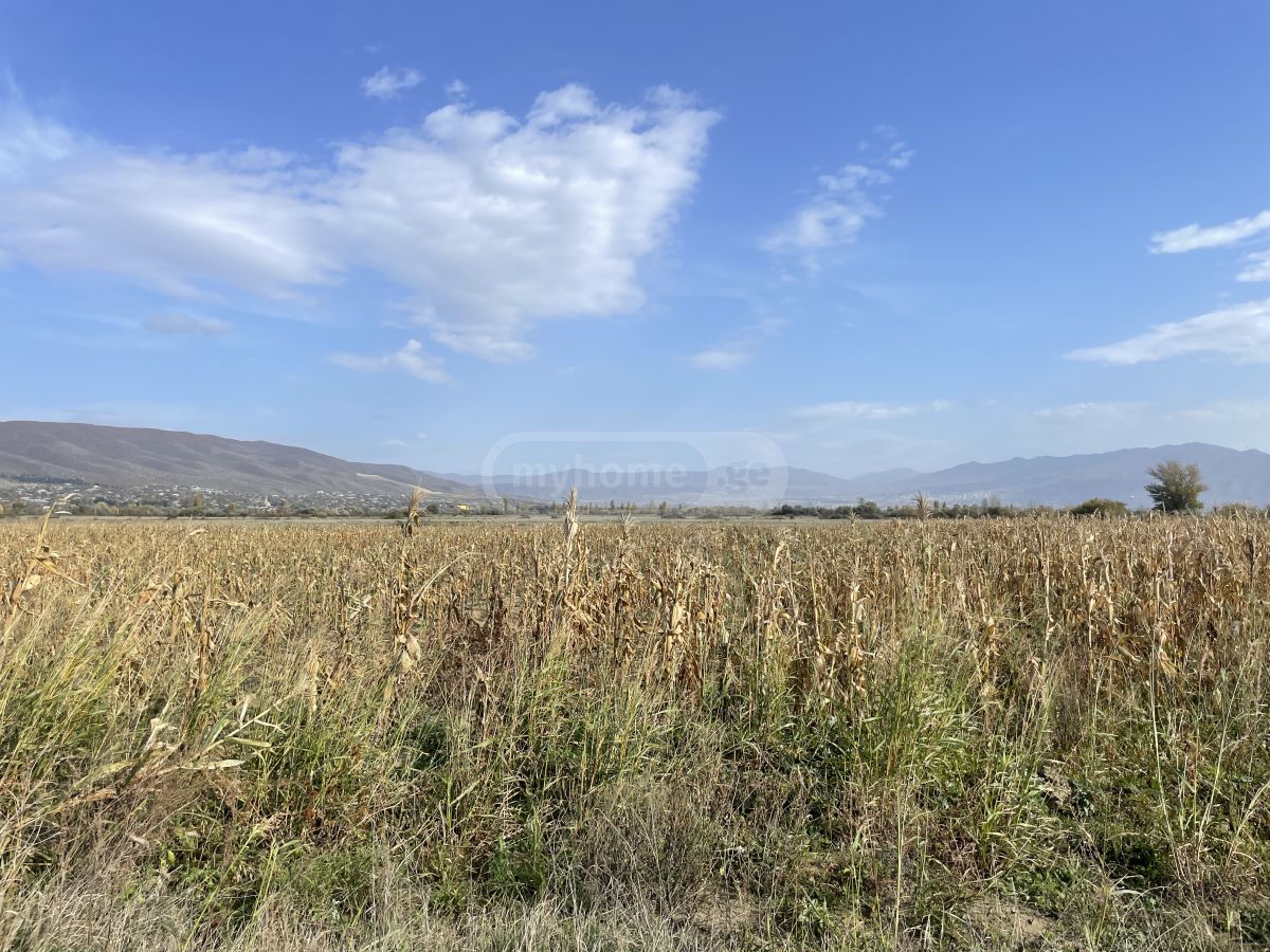 Продажа Земля / участок в Mtskhetashi view 3