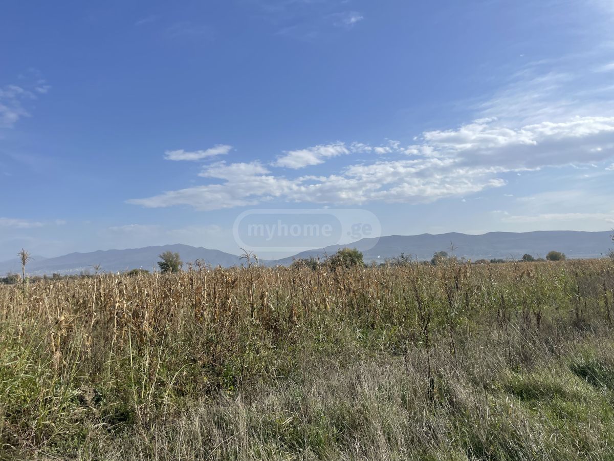 Продажа Земля / участок в Mtskhetashi view 4