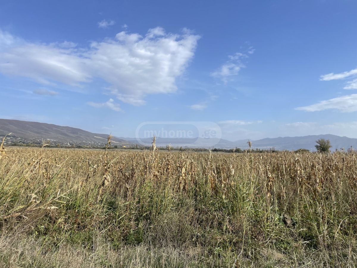 Продажа Земля / участок в Mtskhetashi view 5