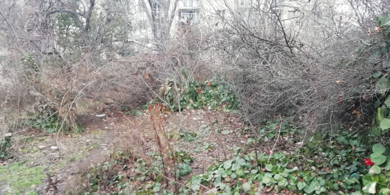 For Sale Ara Sasoplo-Sameurneo Land Plot Veraze view 3