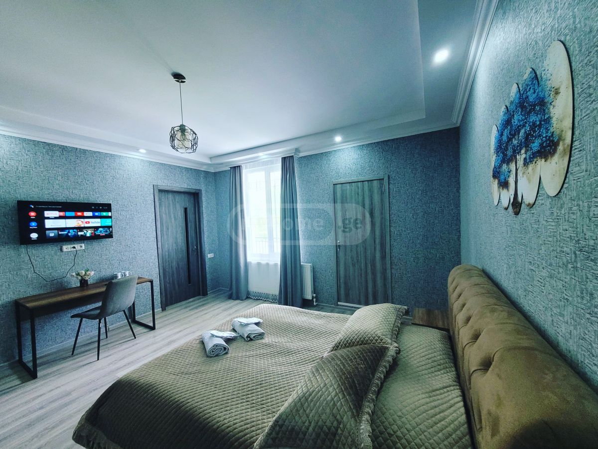 Daily Rent 1 Room Apartment Borjomshi view 1