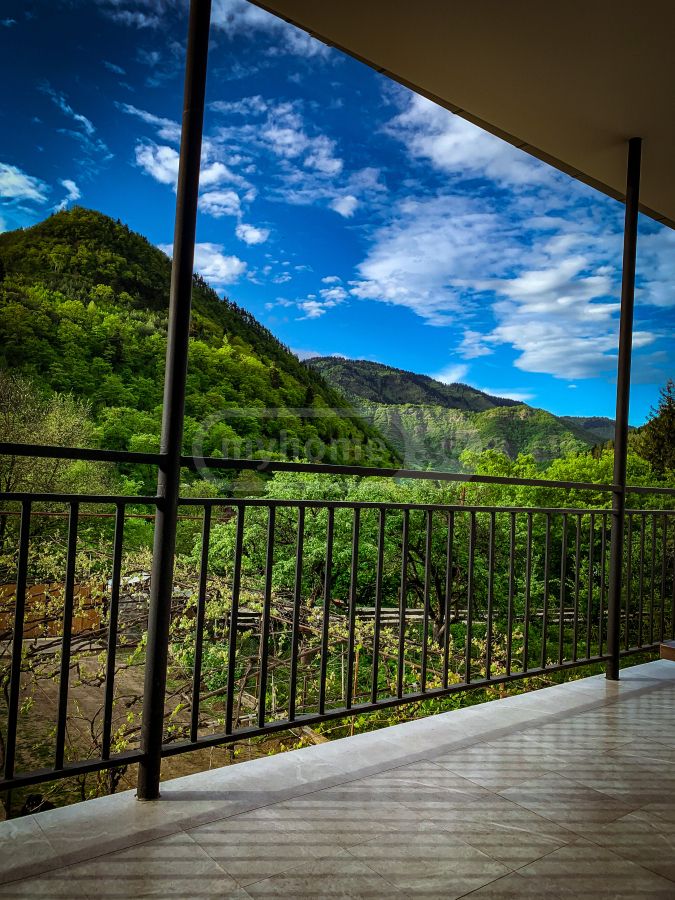 Daily Rent 1 Room Apartment Borjomshi view 12
