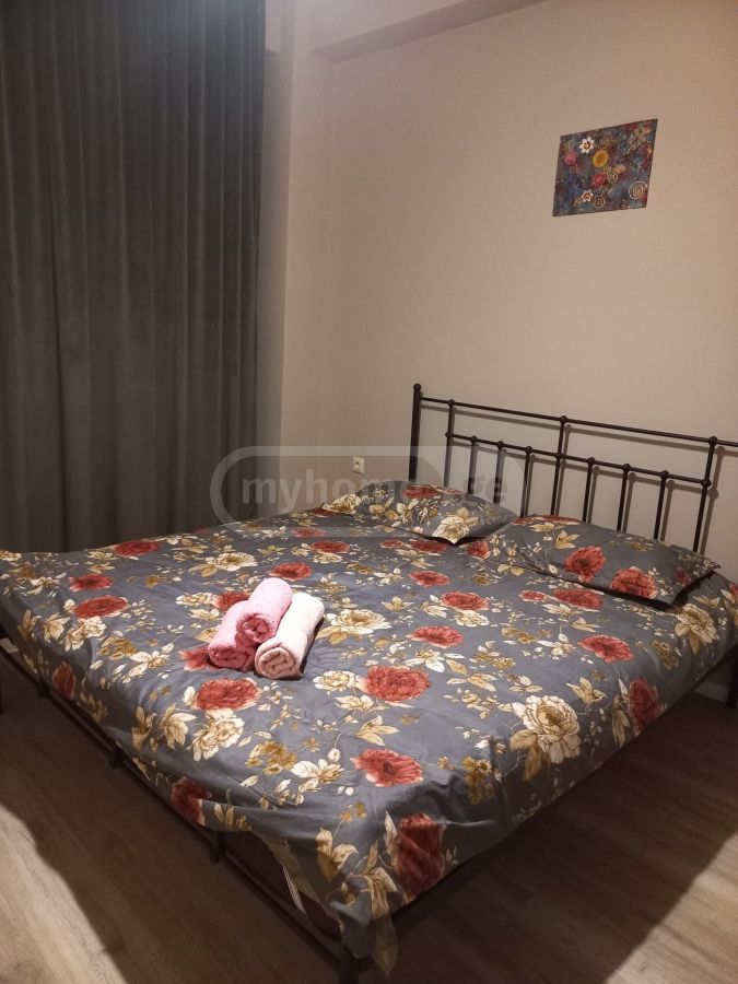 2 Room Apartment Daily Rent In Digomi view 1