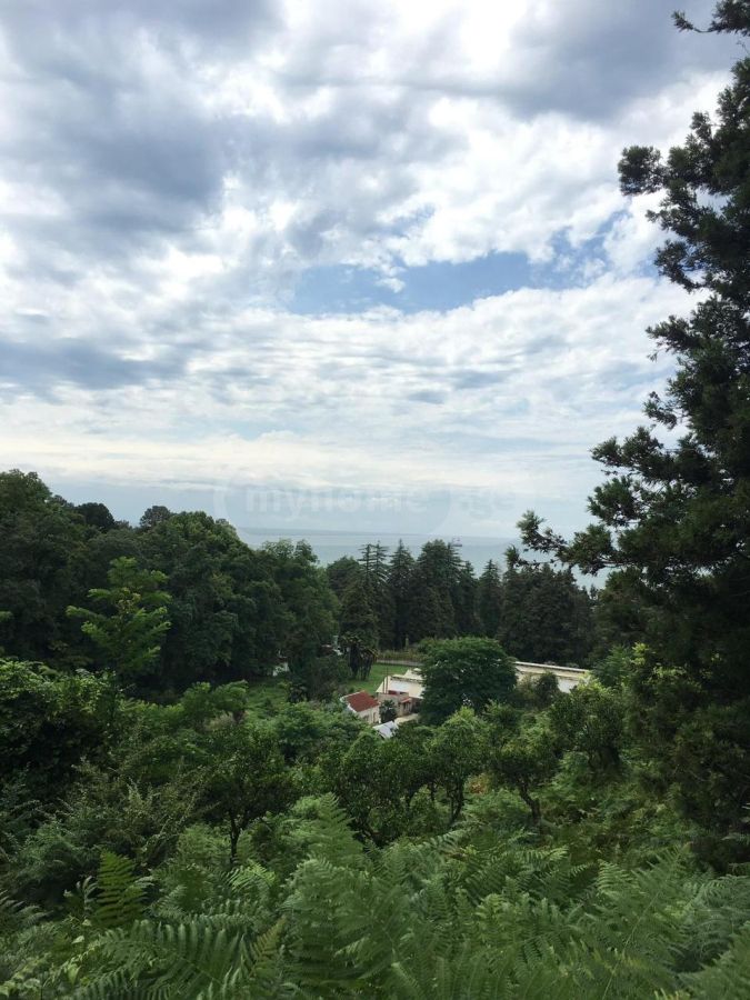 იყიდება მიწა / ნაკვეთი Kobuletis Munitsipalitetshiში view 1