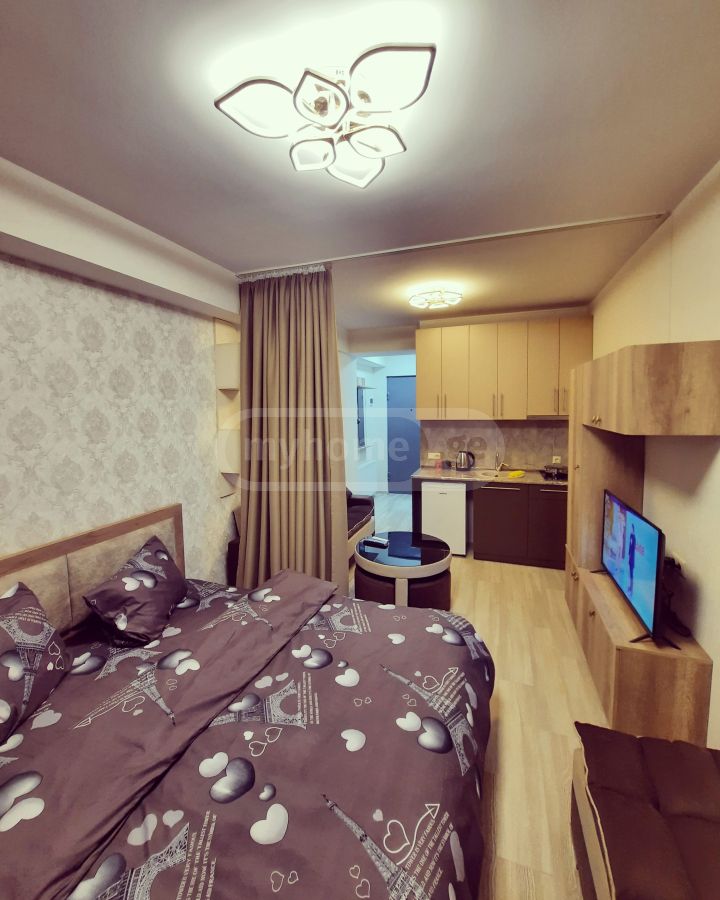 1 Room Flat Daily Rent. Gldani view 23
