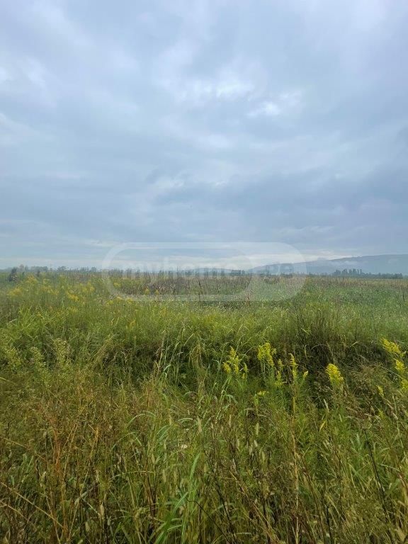 For Sale Sasoplo-Sameurneo Land Plot Senakshi view 1