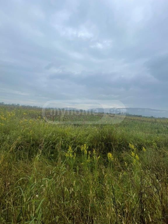 For Sale Sasoplo-Sameurneo Land Plot Senakshi view 3