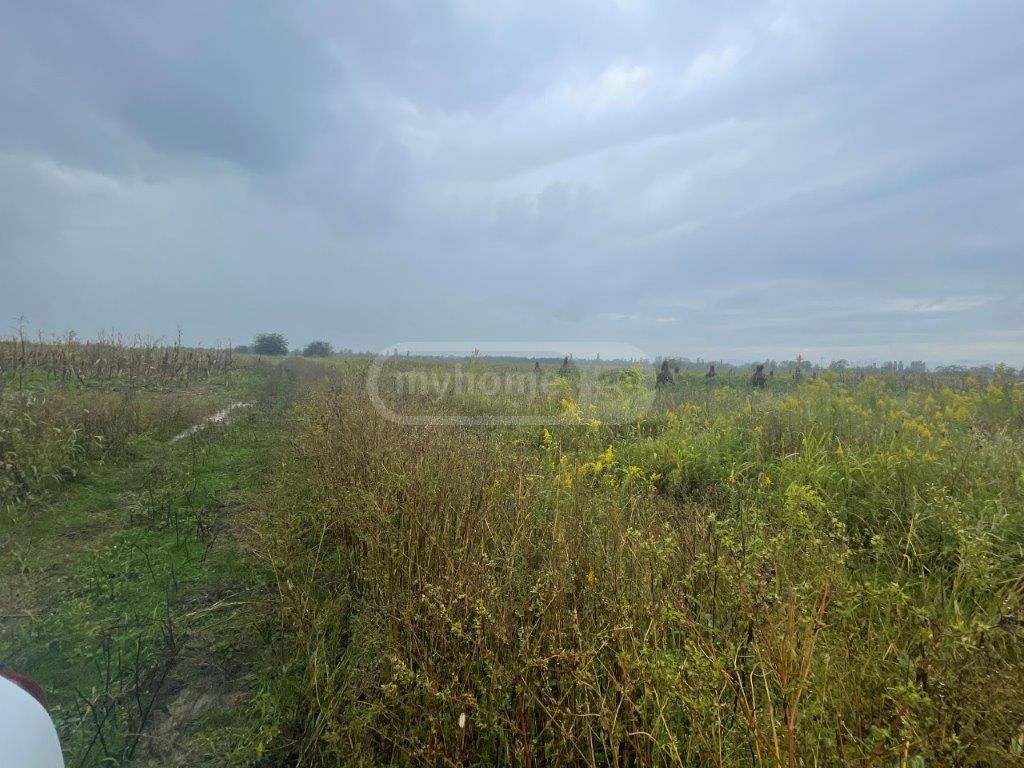 For Sale Sasoplo-Sameurneo Land Plot Senakshi view 4