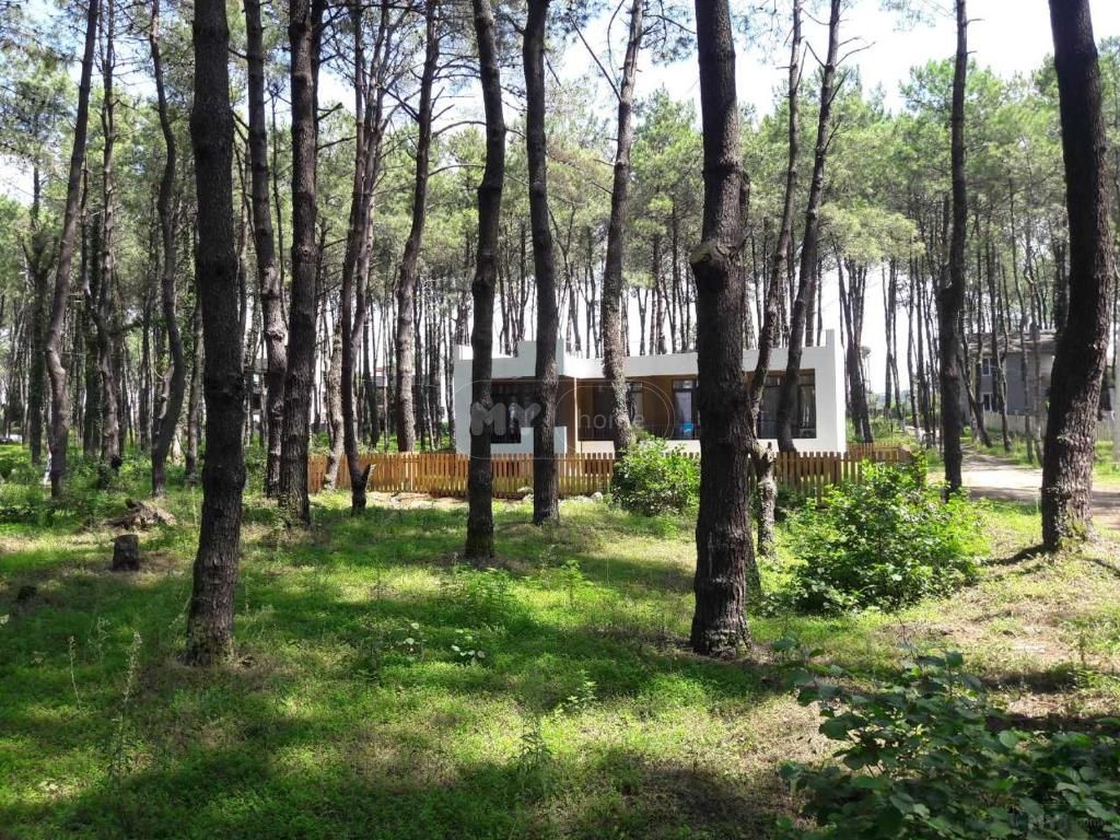 Daily Rent 4 Room Private House Ozurgetis Munitsipalitetshi view 12
