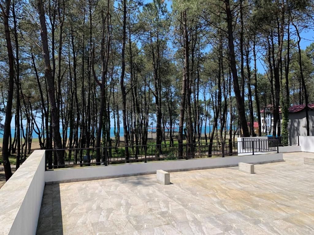 Daily Rent 4 Room Private House Ozurgetis Munitsipalitetshi view 9