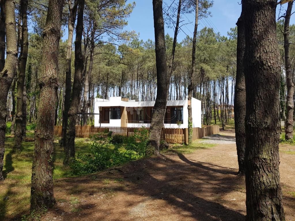Daily Rent 4 Room Private House Ozurgetis Munitsipalitetshi view 10