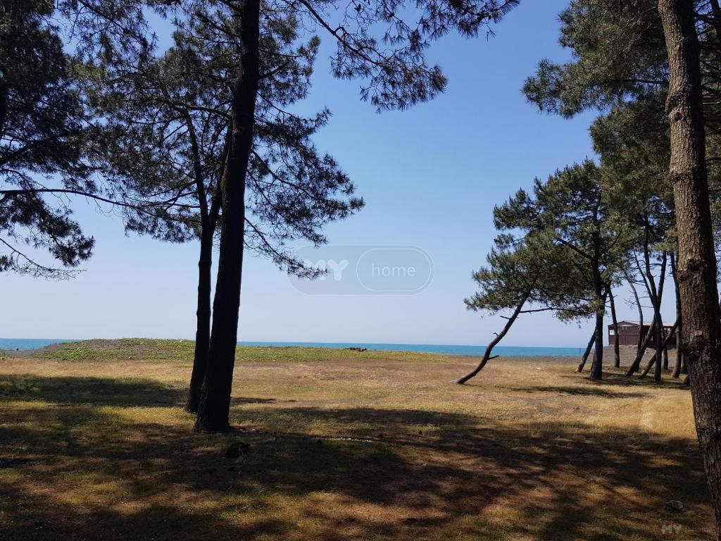 Daily Rent 4 Room Private House Ozurgetis Munitsipalitetshi view 11