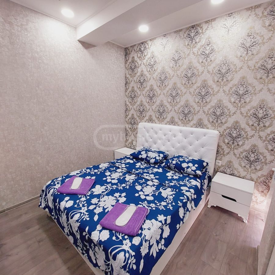 Daily Rent 2 Room Apartment view 3