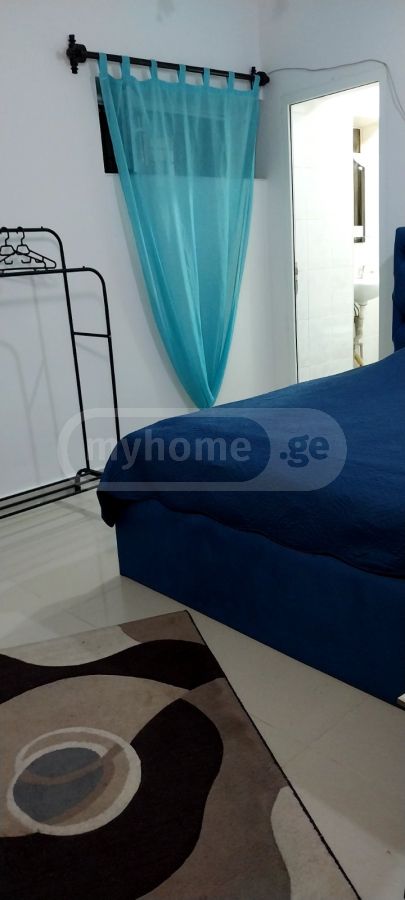 2 Room Apartment For Rent In Krtsanisi view 12