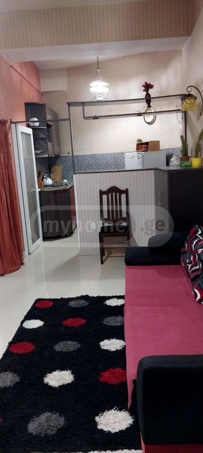 2 Room Apartment For Rent In Krtsanisi view 8