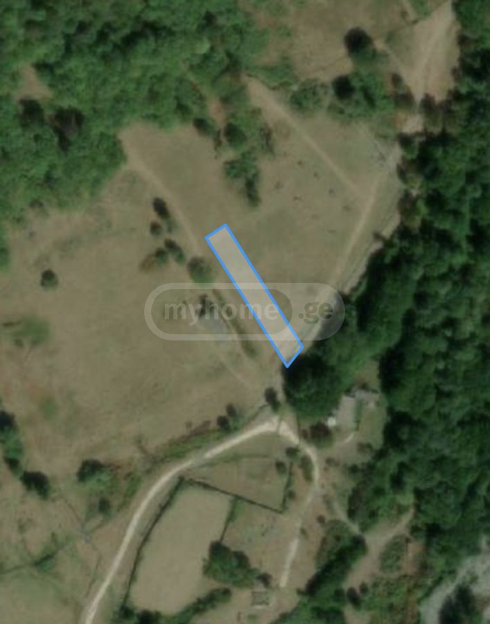 იყიდება Special Plot In Lagodekhiში view 2