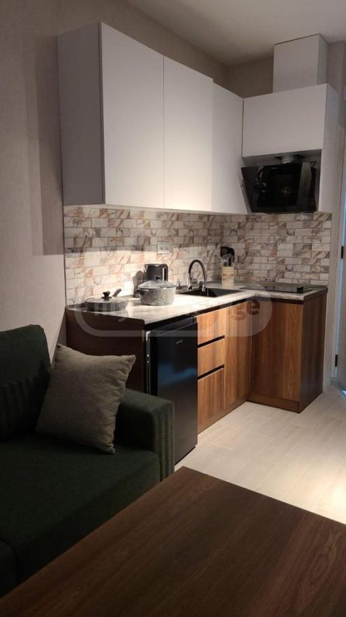 For Rent 1 Room Apartment view 12