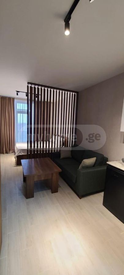 For Rent 1 Room Apartment view 4