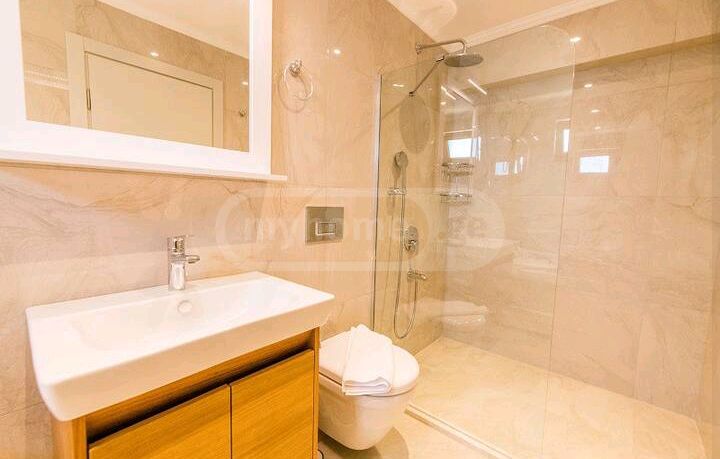 3 Room Flat Daily Rent. Isani view 9